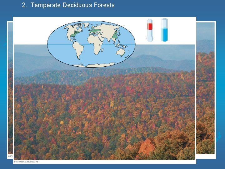 2. Temperate Deciduous Forests 