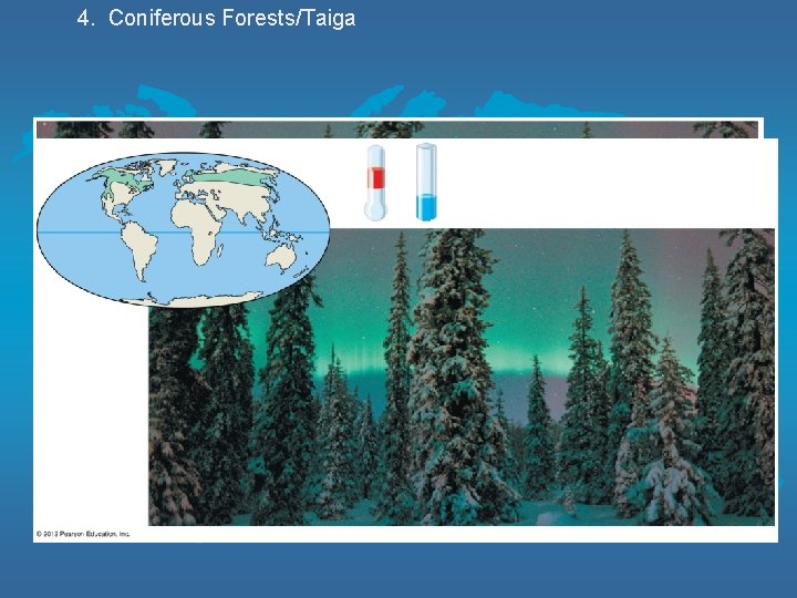 4. Coniferous Forests/Taiga 