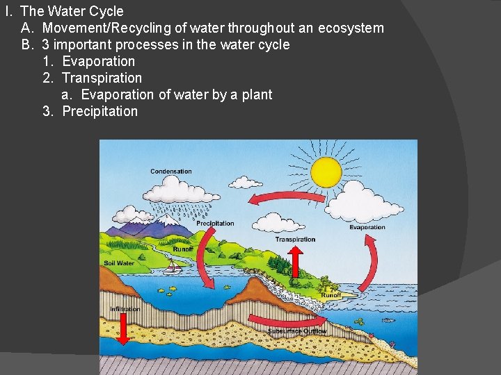 I. The Water Cycle A. Movement/Recycling of water throughout an ecosystem B. 3 important
