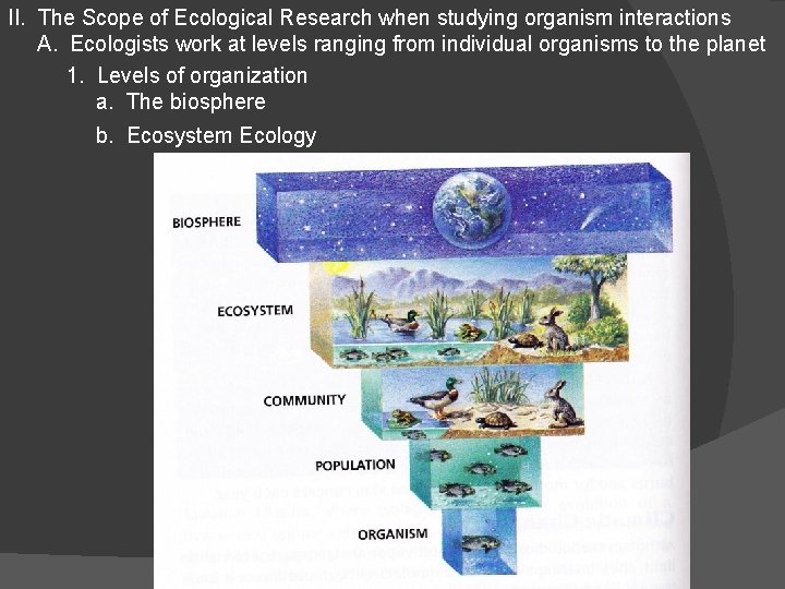 II. The Scope of Ecological Research when studying organism interactions A. Ecologists work at