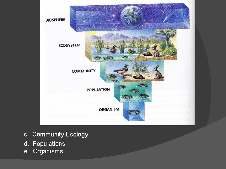 c. Community Ecology d. Populations e. Organisms 