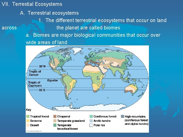 VII. Terrestial Ecosystems A. Terrestrial ecosystems 1. The different terrestrial ecosystems that occur on