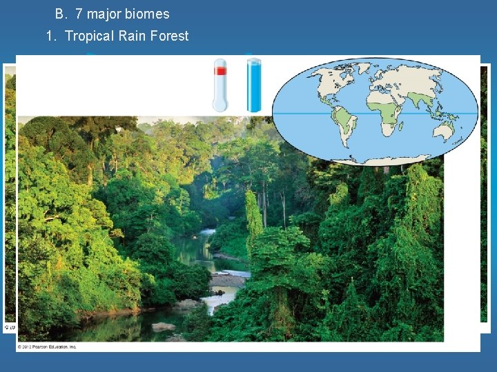 B. 7 major biomes 1. Tropical Rain Forest 