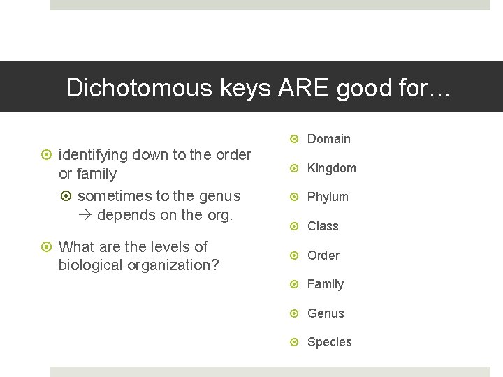 Dichotomous keys ARE good for… Domain identifying down to the order or family sometimes