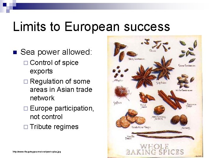 Limits to European success n Sea power allowed: ¨ Control of spice exports ¨