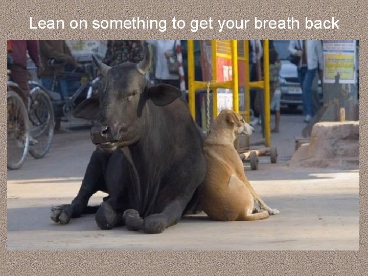 Lean on something to get your breath back 