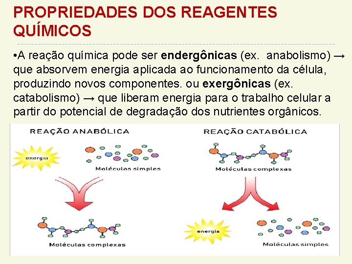 PROPRIEDADES DOS REAGENTES QUÍMICOS • A reação química pode ser endergônicas (ex. anabolismo) →