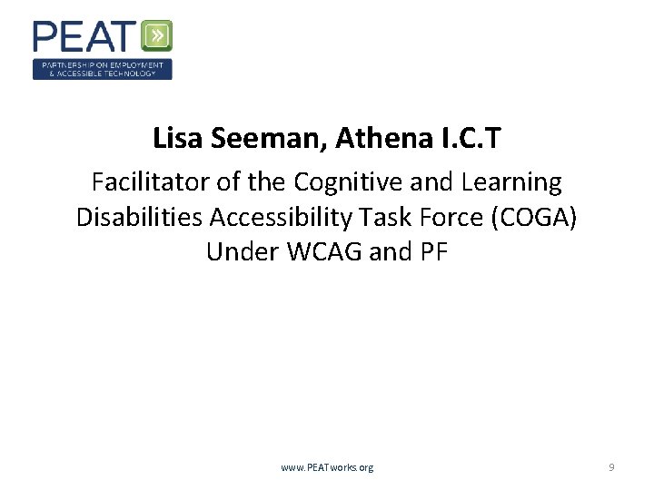 Lisa Seeman, Athena I. C. T Facilitator of the Cognitive and Learning Disabilities Accessibility