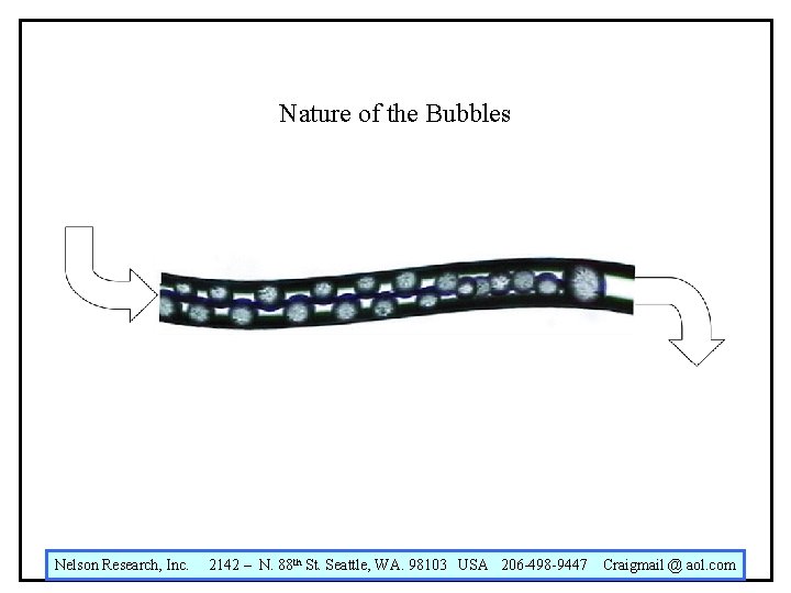Nature of the Bubbles Nelson Research, Inc. 2142 – N. 88 th St. Seattle,