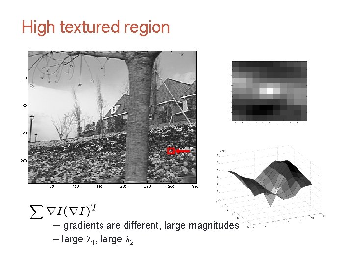CS 4495 Computer Vision – A. Bobick High textured region – gradients are different,