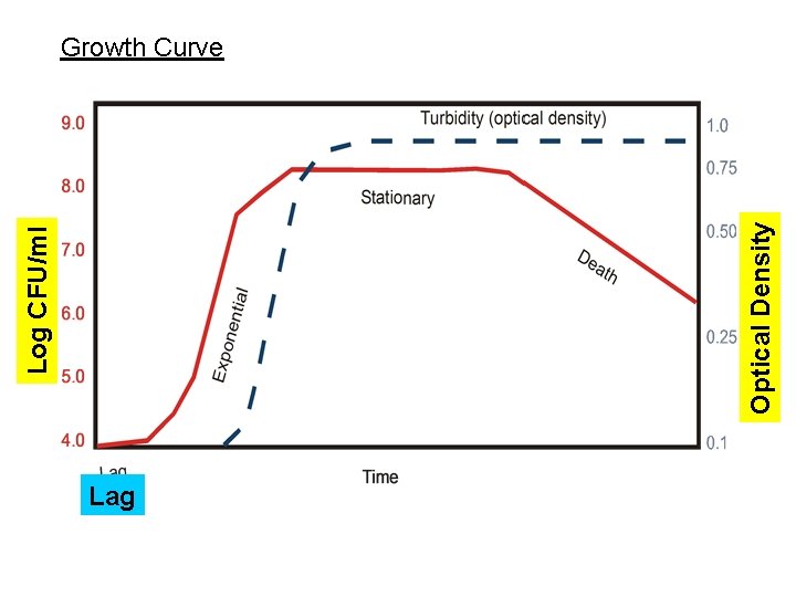 Optical Density Log CFU/ml Growth Curve Lag 