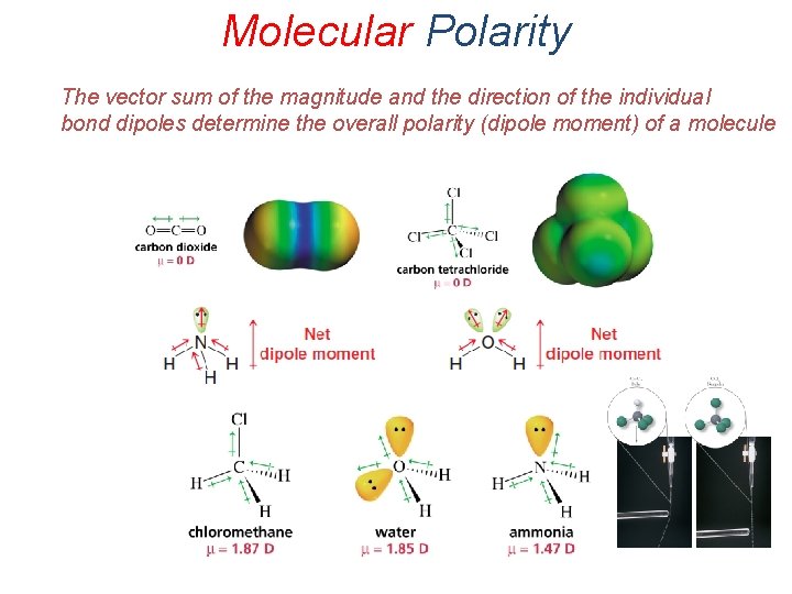 Molecular Polarity The vector sum of the magnitude and the direction of the individual