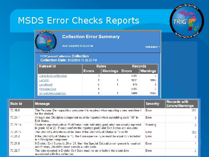 MSDS Error Checks Reports 