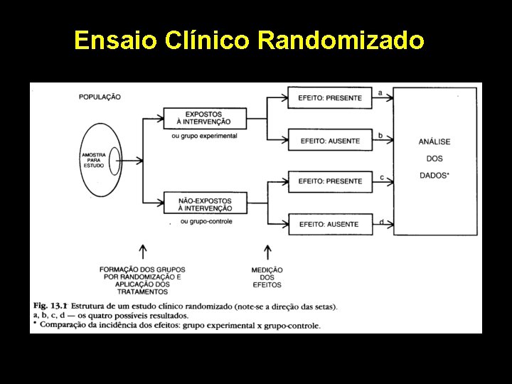 Ensaio Clínico Randomizado 