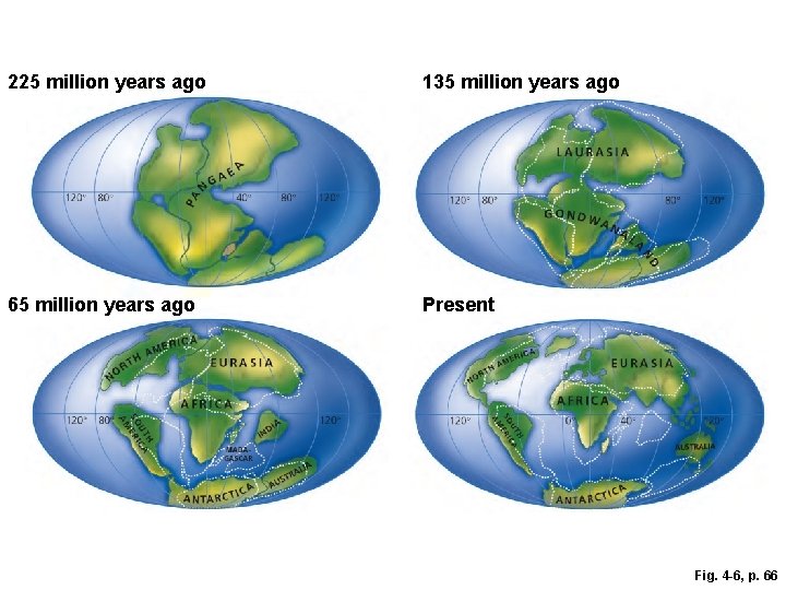 225 million years ago 135 million years ago 65 million years ago Present Fig.