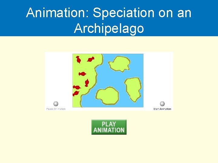 Animation: Speciation on an Archipelago 