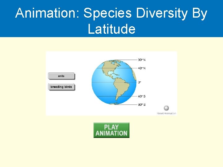 Animation: Species Diversity By Latitude 