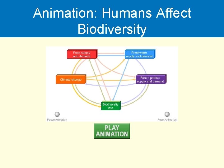 Animation: Humans Affect Biodiversity 