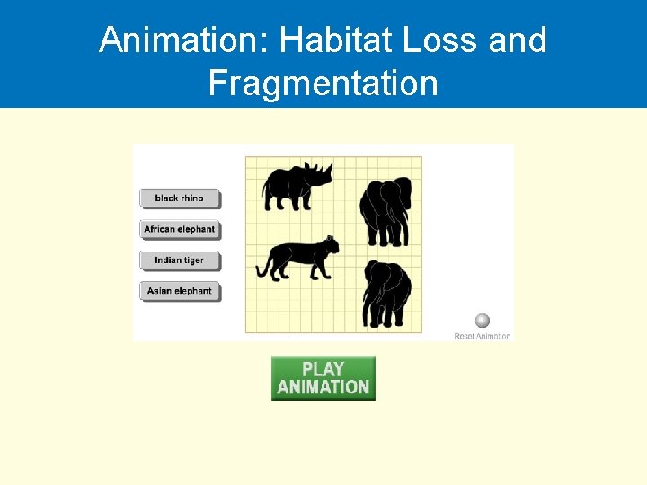 Animation: Habitat Loss and Fragmentation 