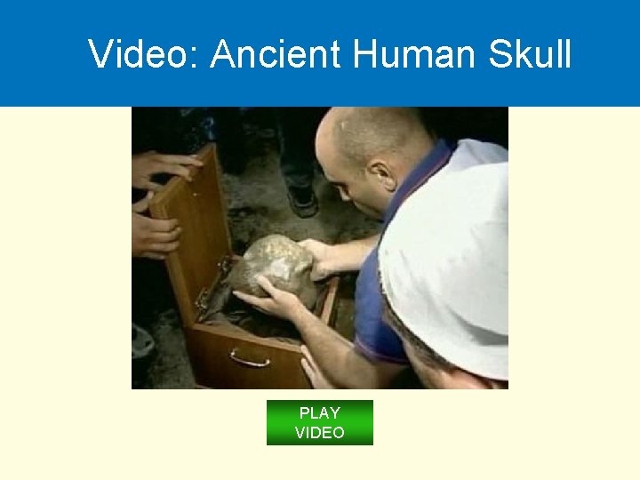 Video: Ancient Human Skull PLAY VIDEO 