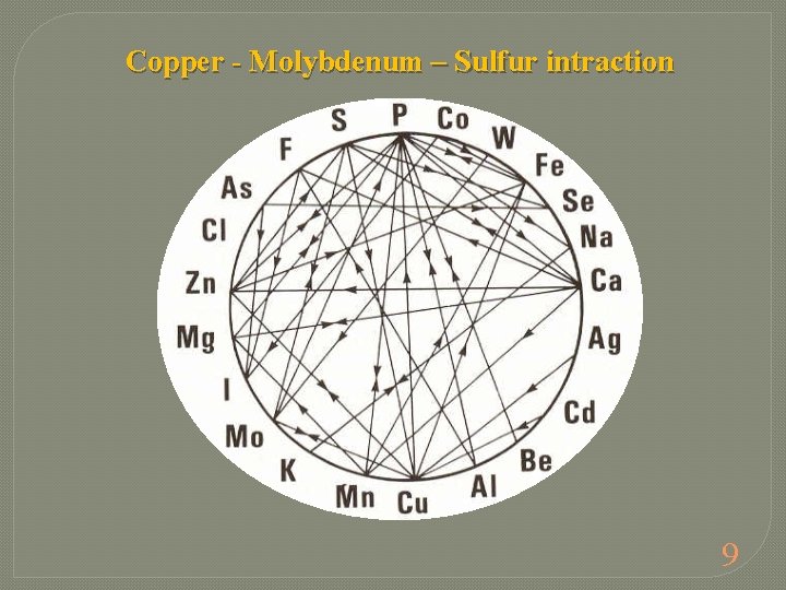 Copper - Molybdenum – Sulfur intraction 9 
