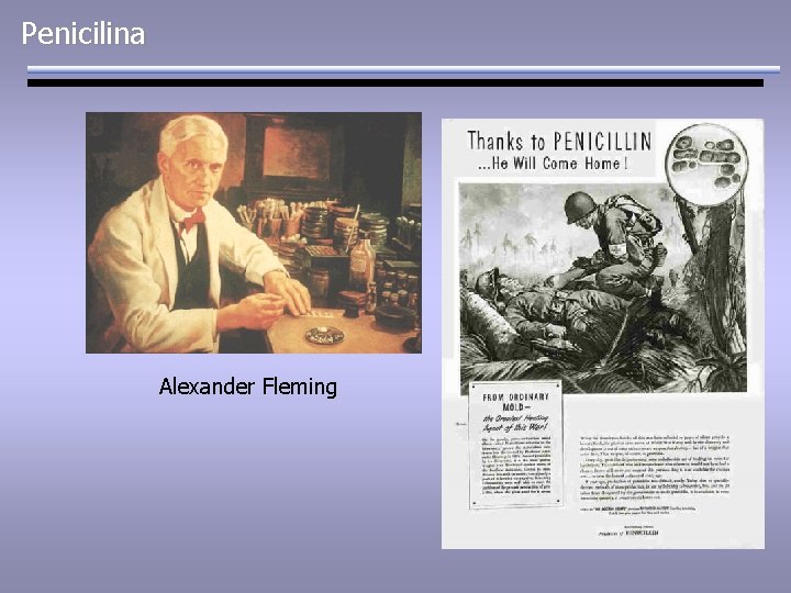 Penicilina Alexander Fleming 