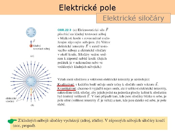 Elektrické pole Elektrické siločáry 