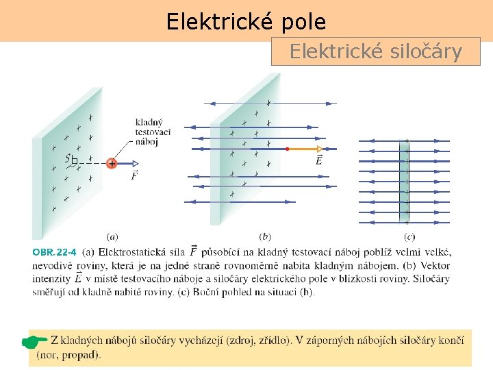 Elektrické pole Elektrické siločáry 