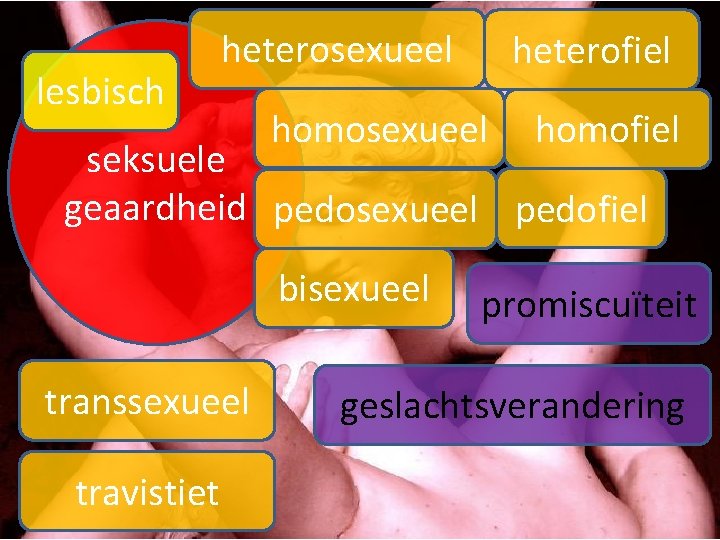 lesbisch heterosexueel heterofiel homosexueel homofiel seksuele geaardheid pedosexueel pedofiel bisexueel transsexueel travistiet promiscuïteit geslachtsverandering