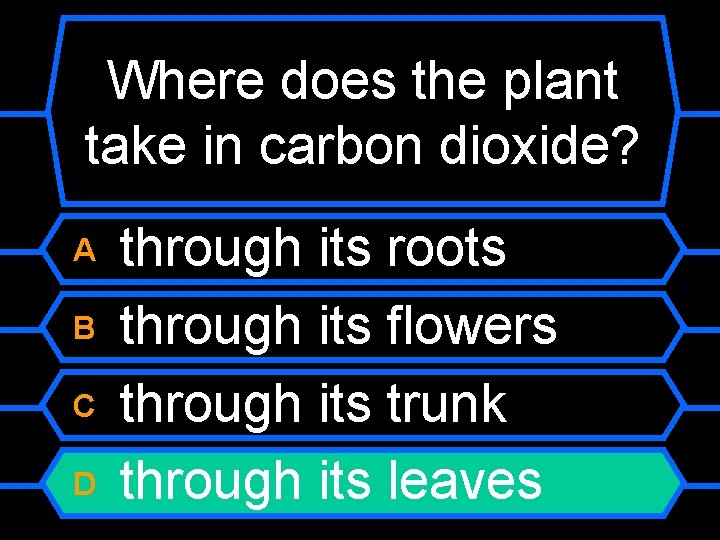 Where does the plant take in carbon dioxide? A B C D through its