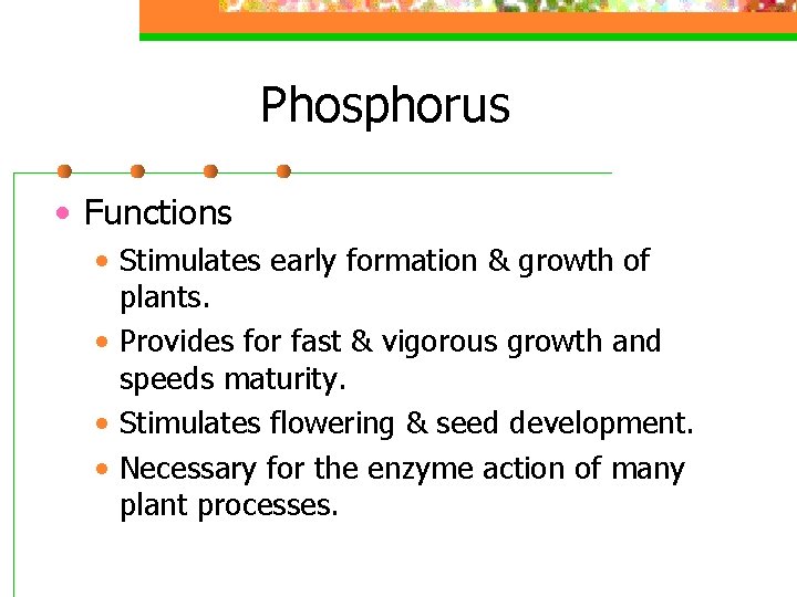 Phosphorus • Functions • Stimulates early formation & growth of plants. • Provides for