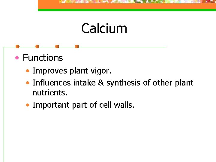 Calcium • Functions • Improves plant vigor. • Influences intake & synthesis of other