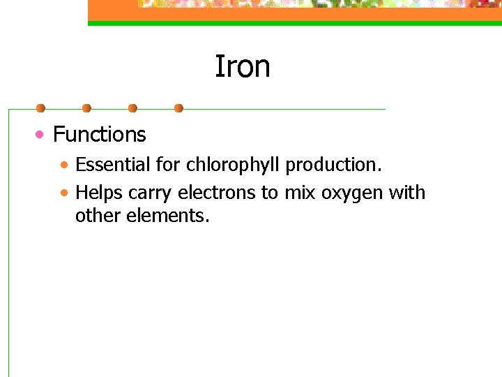 Iron • Functions • Essential for chlorophyll production. • Helps carry electrons to mix