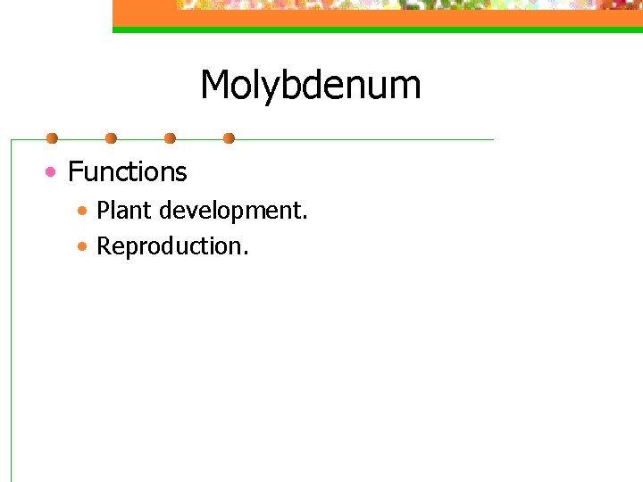 Molybdenum • Functions • Plant development. • Reproduction. 