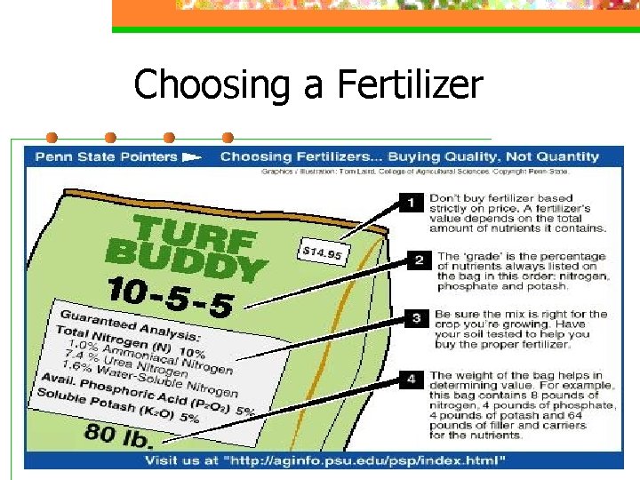 Choosing a Fertilizer 