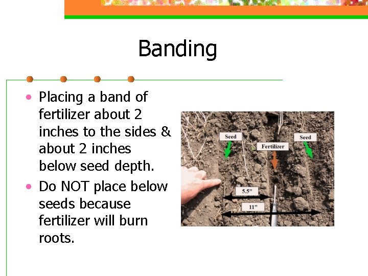 Banding • Placing a band of fertilizer about 2 inches to the sides &