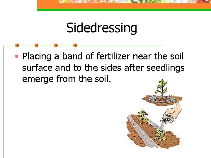 Sidedressing • Placing a band of fertilizer near the soil surface and to the