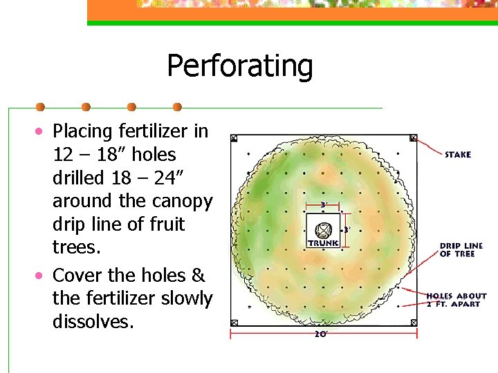 Perforating • Placing fertilizer in 12 – 18” holes drilled 18 – 24” around