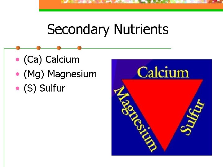 Secondary Nutrients • (Ca) Calcium • (Mg) Magnesium • (S) Sulfur 