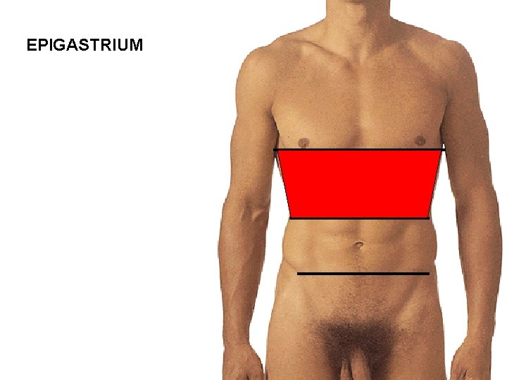 EPIGASTRIUM 