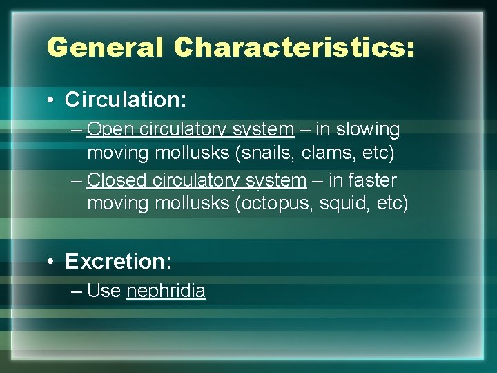 Phylum Mollusca General Characteristics Coelomates true body cavity