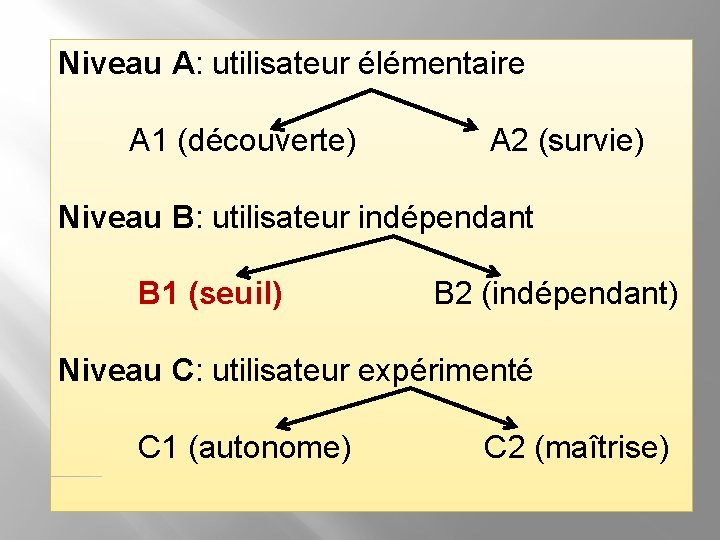 Niveau A: utilisateur élémentaire A 1 (découverte) A 2 (survie) Niveau B: utilisateur indépendant