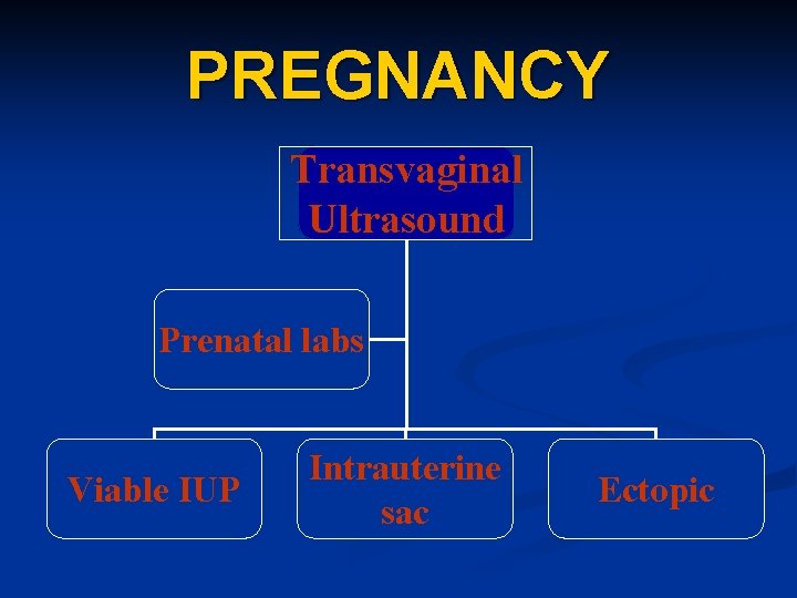 PREGNANCY Transvaginal Ultrasound Prenatal labs Viable IUP Intrauterine sac Ectopic 