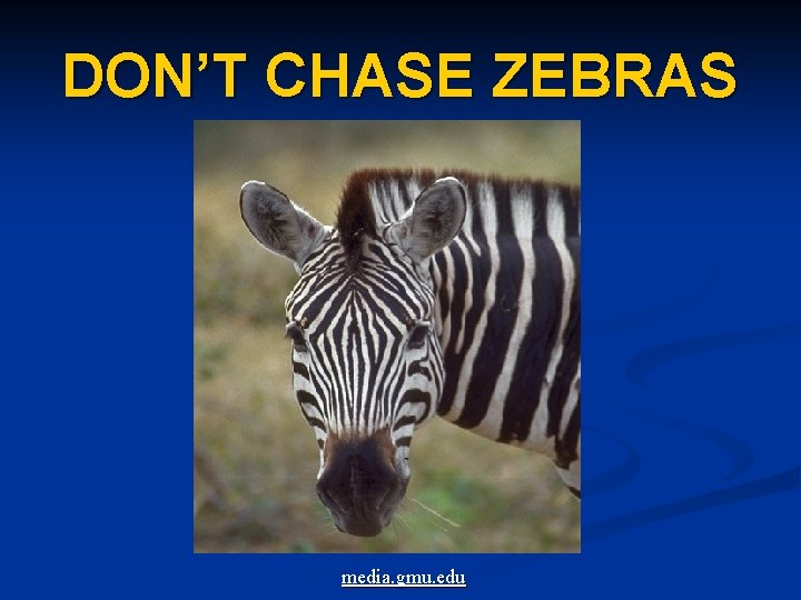 DON’T CHASE ZEBRAS media. gmu. edu 