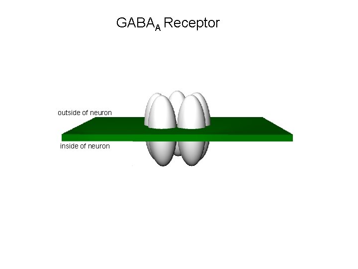 GABAA Receptor outside of neuron inside of neuron 