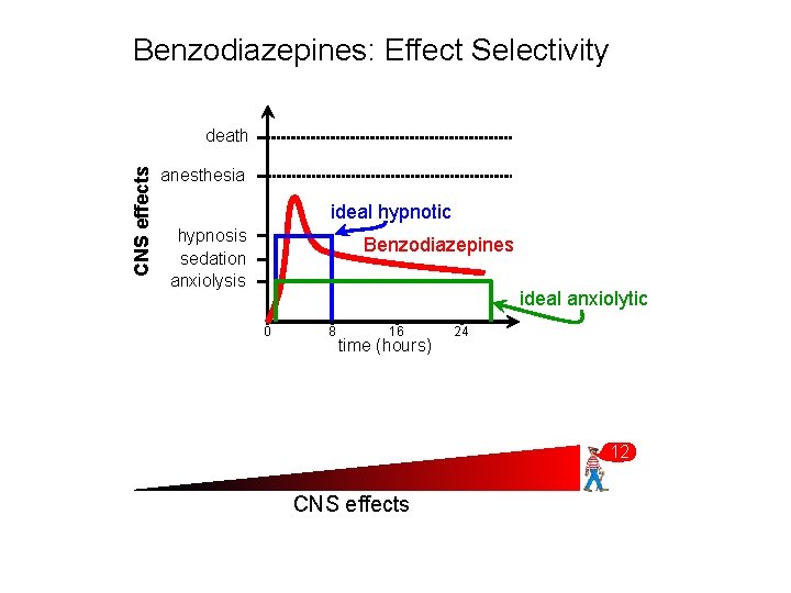 Benzodiazepines: Effect Selectivity CNS effects death anesthesia ideal hypnotic hypnosis sedation anxiolysis Benzodiazepines ideal