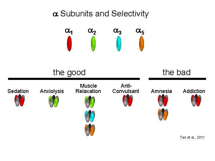 a Subunits and Selectivity a 1 a 2 a 3 a 5 the good