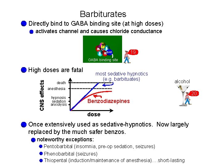 Barbiturates Directly bind to GABA binding site (at high doses) activates channel and causes
