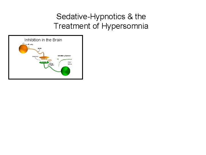 Sedative-Hypnotics & the Treatment of Hypersomnia Inhibition in the Brain 