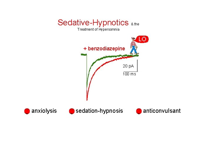 Sedative-Hypnotics & the Treatment of Hypersomnia LO + benzodiazepine 20 p. A 100 ms